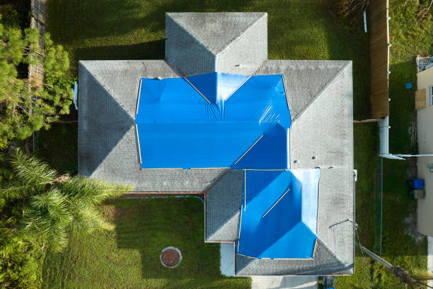 Best Roof Coating and Sealing  in Richwood, WV