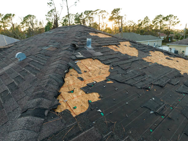 Best Green or Eco-Friendly Roofing Solutions  in Richwood, WV